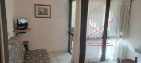 Petit Appartement dans les Arbres